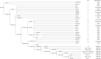 Frontiers | Toll-Like Receptors, Associated Biological Roles